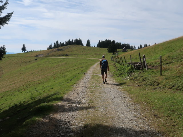 Frank zwischen Sommeralm und Siebenkögel