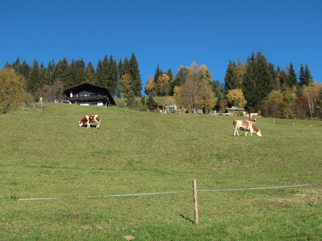 Permoos