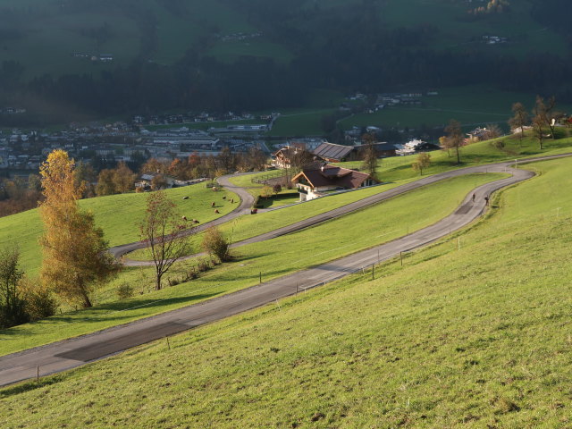 Lehen