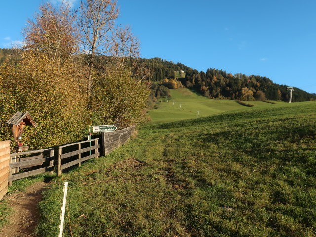 beim Arzenbach