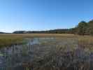 Skidaway River (8. Nov.)