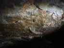 Craighead Caverns (13. Nov.)