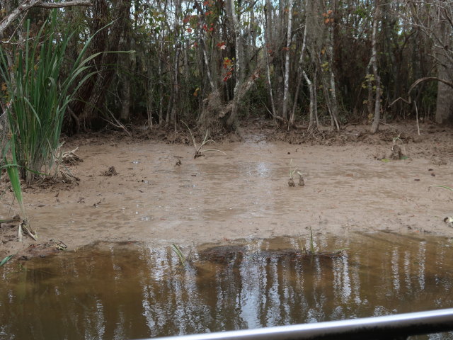 Old Pearl River (20. Nov.)