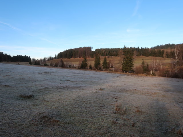 Mamauwiese