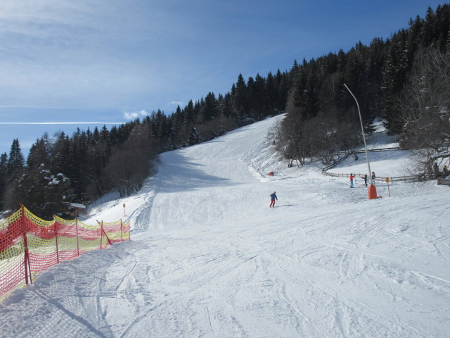 Wildparkabfahrt