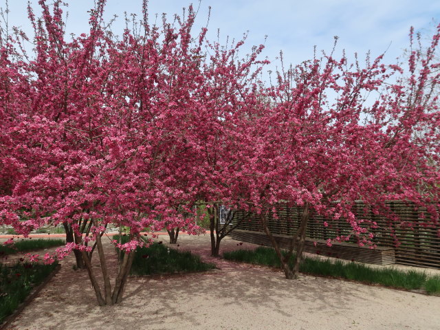 Die Garten Tulln