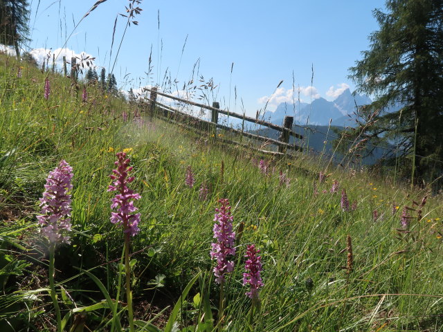 Toblacher Höhenweg