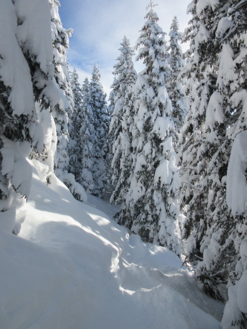 neben der Piste 163