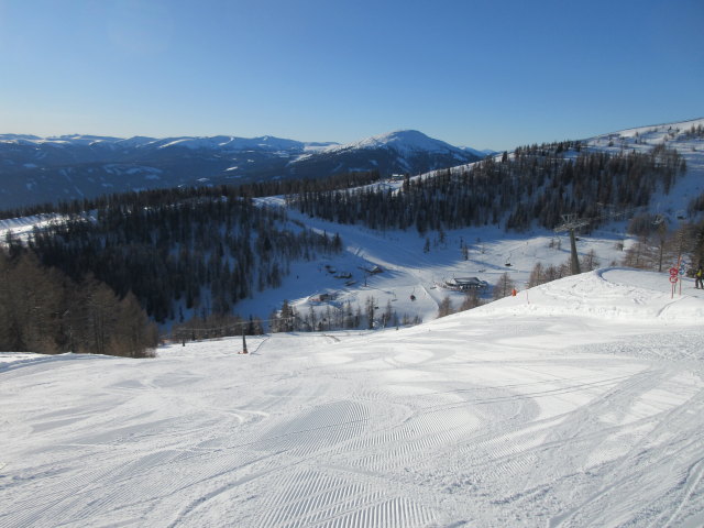 Sonnenhang mittel (20. J&auml;n.)