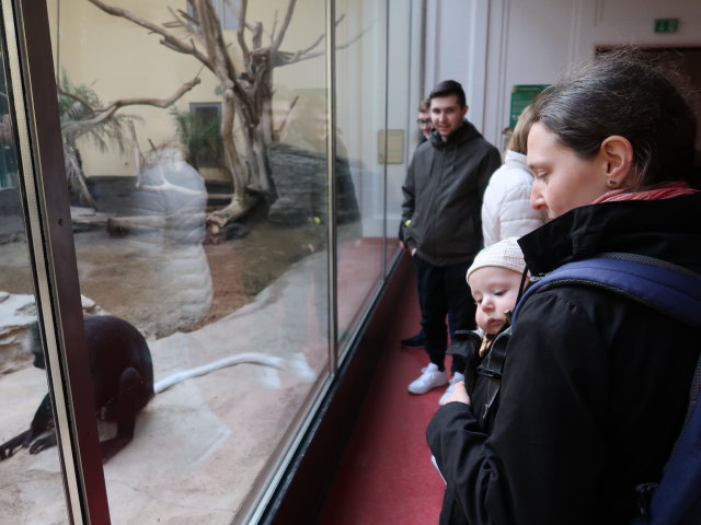 Nils und Sabine bei den B&auml;renstummelaffen