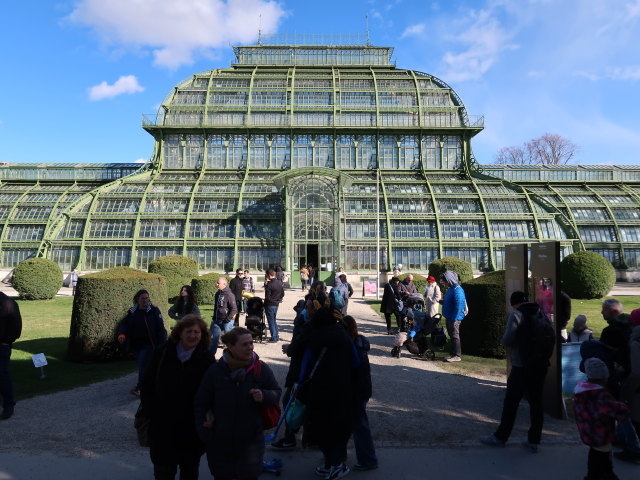 Palmenhaus im Schlosspark Sch&ouml;nbrunn