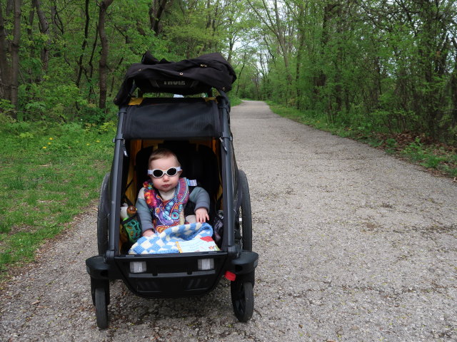 Nils zwischen M&ouml;dling und Rehgraben