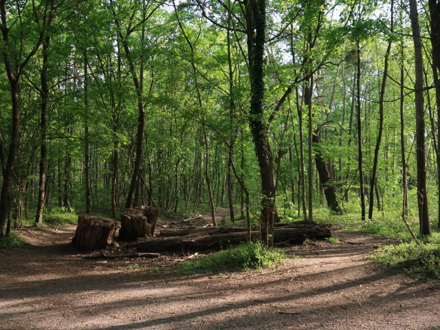 M&uuml;hlgr&uuml;ndl