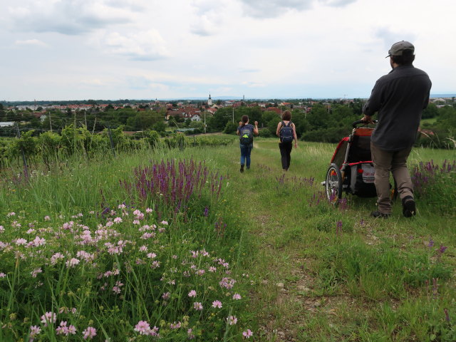 Sabine, Hannelore und Manuel am B&uuml;hel