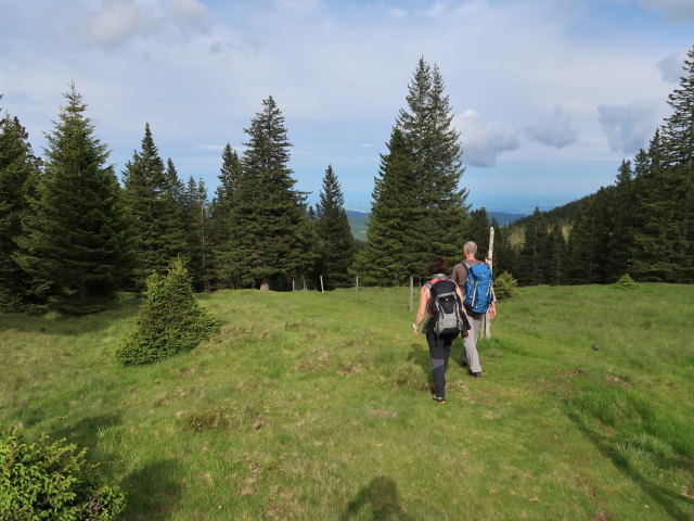 Carmen und Frank zwischen Sepp-Reiner-Br&uuml;ndl und Gr&uuml;nangerh&uuml;tte (14. Juni)