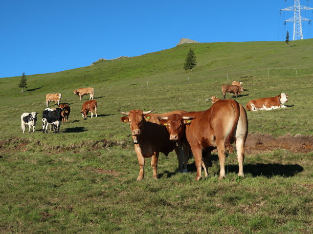 B&uuml;rgerhalt (15. Juni)