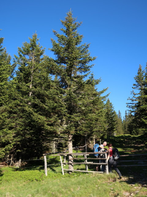 Frank und Carmen zwischen B&uuml;rgerhalt und Frauenkogel (15. Juni)