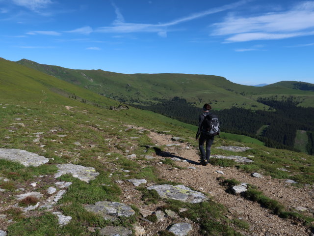 Carmen zwischen B&uuml;rgerhalt und Frauenkogel (15. Juni)
