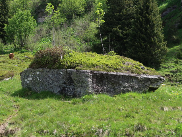 Gro&szlig;es Kar (15. Juni)