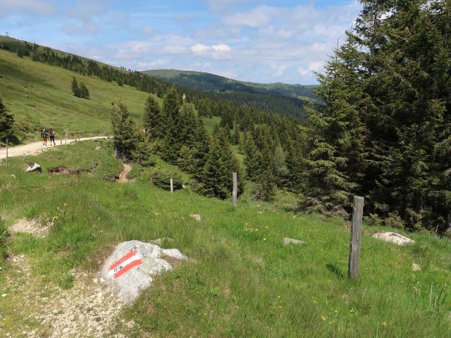 zwischen Grillitschh&uuml;tte und Weinebene (15. Juni)