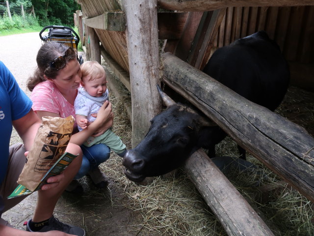 Sabine und Nils bei den Dahom&eacute;-Zwergrindern