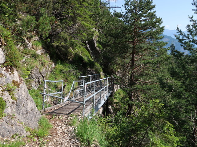 K&uuml;hbodental zwischen Daprakreuz und Kofelbach (29. Juni)