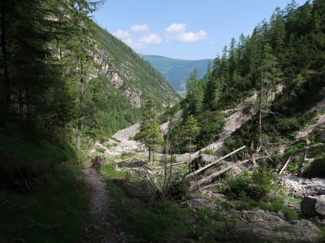 K&uuml;hbodental zwischen Daprakreuz und Kofelbach (29. Juni)