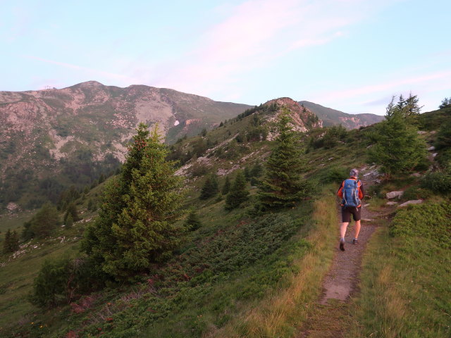 Frank zwischen Gro&szlig;eck und Speiereck (14. Juli)