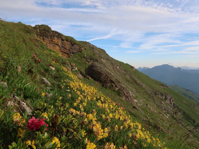 zwischen Kleinem Lansch&uuml;tz und Gro&szlig;em Lansch&uuml;tz (14. Juli)