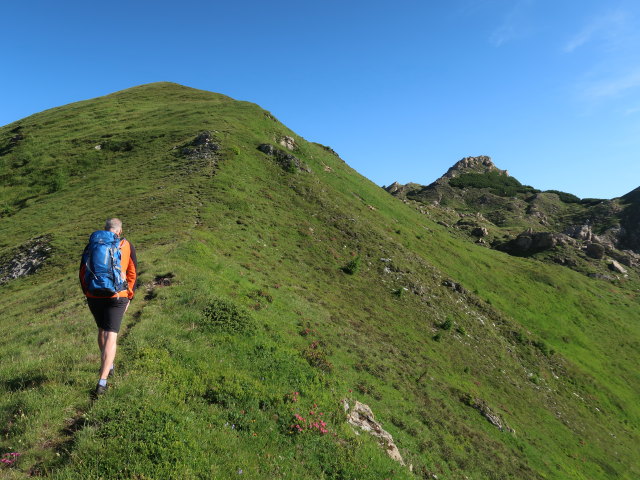 Frank zwischen K&auml;mpenk&ouml;pfln und Schareck (14. Juli)