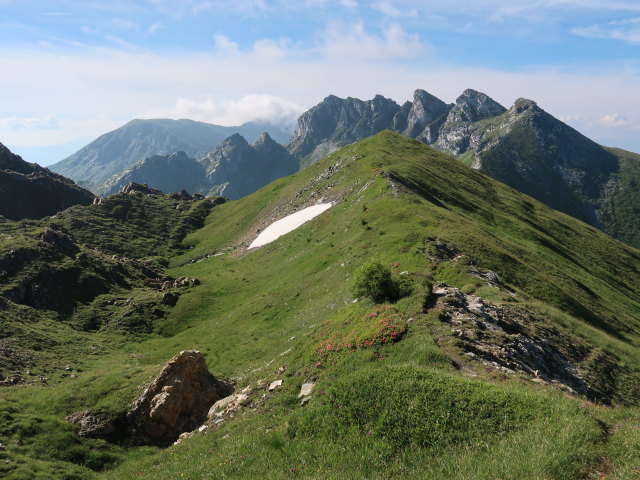 zwischen K&auml;mpenk&ouml;pfln und Schareck (14. Juli)
