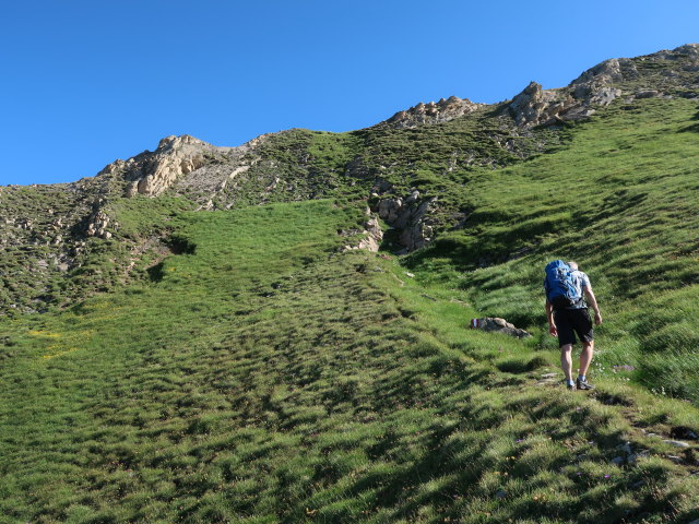 Frank zwischen K&auml;mpenk&ouml;pfln und Schareck (14. Juli)