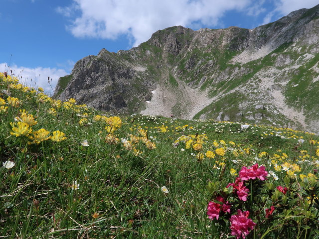 zwischen Viertleck und Wei&szlig;eneck (14. Juli)