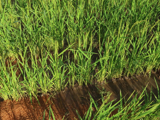 &Ouml;sterReis-Hof in Gerasdorf