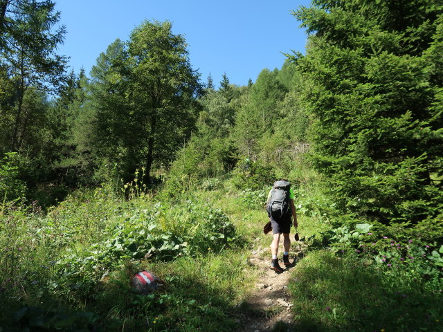 Ronald zwischen Gfrereralm und Unterem Rotg&uuml;ldensee (10. Aug.)
