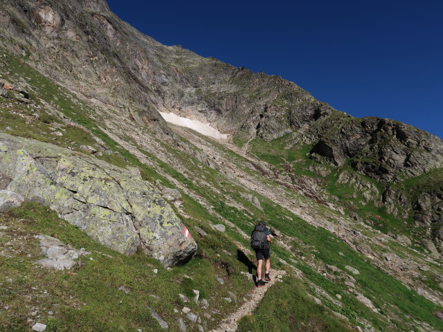Ronald zwischen Oberem Rotg&uuml;ldensee und Wastlkarscharte (11. Aug.)