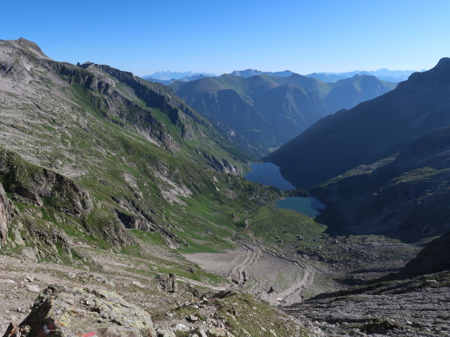 Rotg&uuml;ldenkar (11. Aug.)