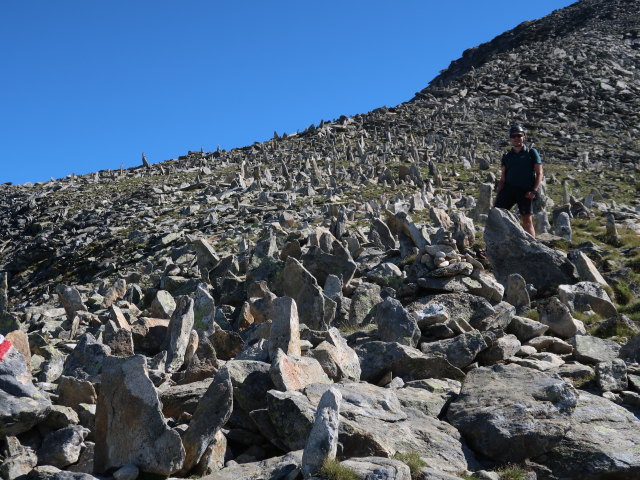 Ronald zwischen Marschneid und Gro&szlig;em Hafner (11. Aug.)