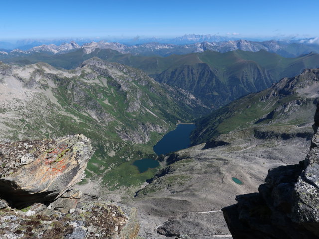 Rotg&uuml;ldenkar (11. Aug.)