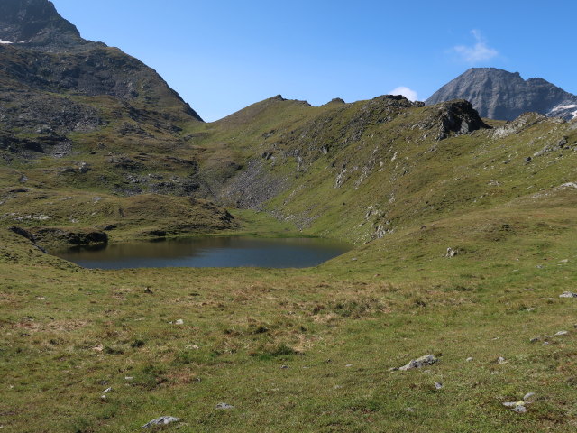 zwischen Schraneckscharte und H&ouml;rndl (23. Aug.)