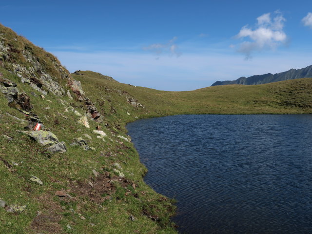 zwischen Schraneckscharte und H&ouml;rndl (23. Aug.)