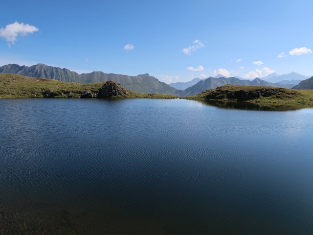 zwischen Schraneckscharte und H&ouml;rndl (23. Aug.)