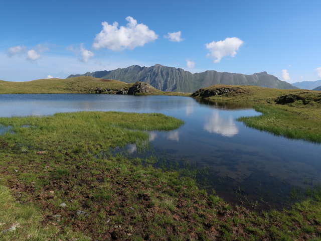 zwischen Schraneckscharte und H&ouml;rndl (23. Aug.)
