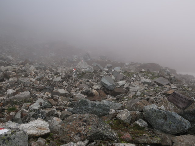 zwischen St. P&ouml;ltener H&uuml;tte und Tauernkogel (24. Aug.)