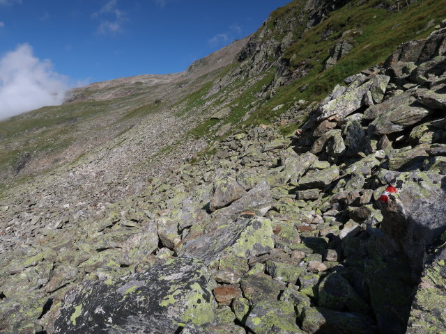 Venediger H&ouml;henweg zwischen First und Sandeben (24. Aug.)