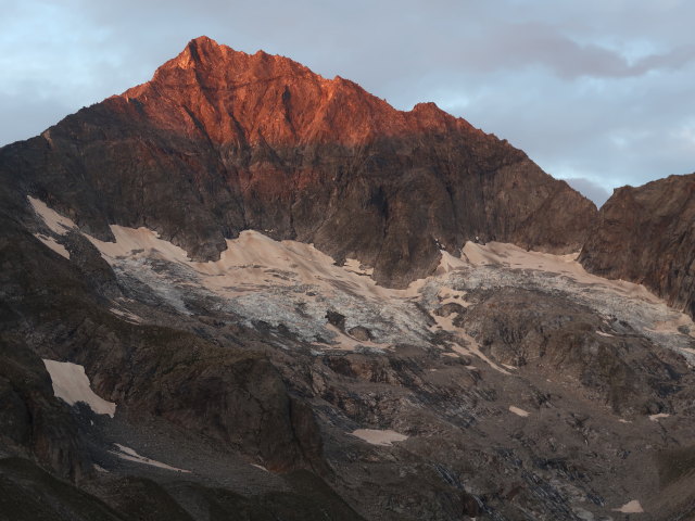 Gro&szlig;er L&ouml;ffler (1. Sep.)