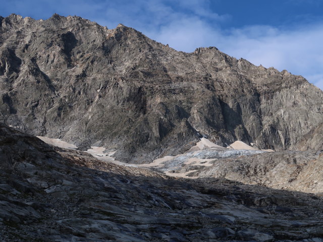 L&ouml;fflerkees (1. Sep.)