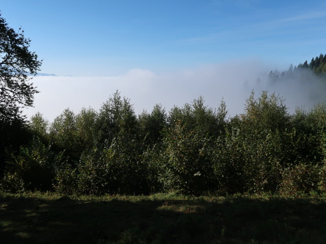 zwischen Pogier und Bayerlh&uuml;tte