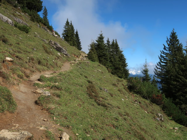 zwischen Mitterbergsattel und Mitterfeldalm