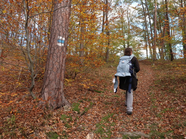 Sabine zwischen Schl&ouml;glm&uuml;hl und Auf der Wiese